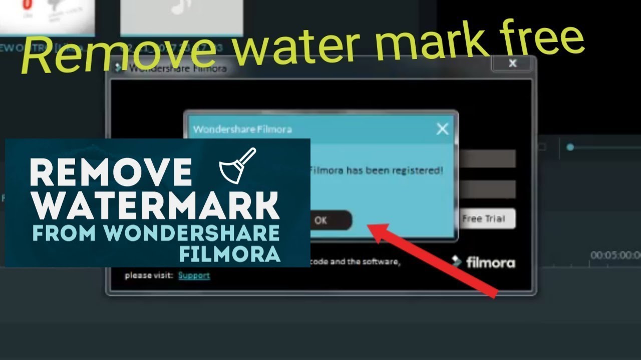 How to Remove Watermark from Video Filmora