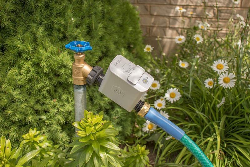 5 Reasons You Need a Tap Timer for Your Garden